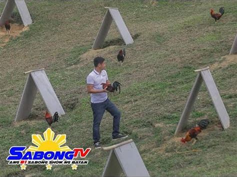 Ryan Abrenica New Farm Tour .